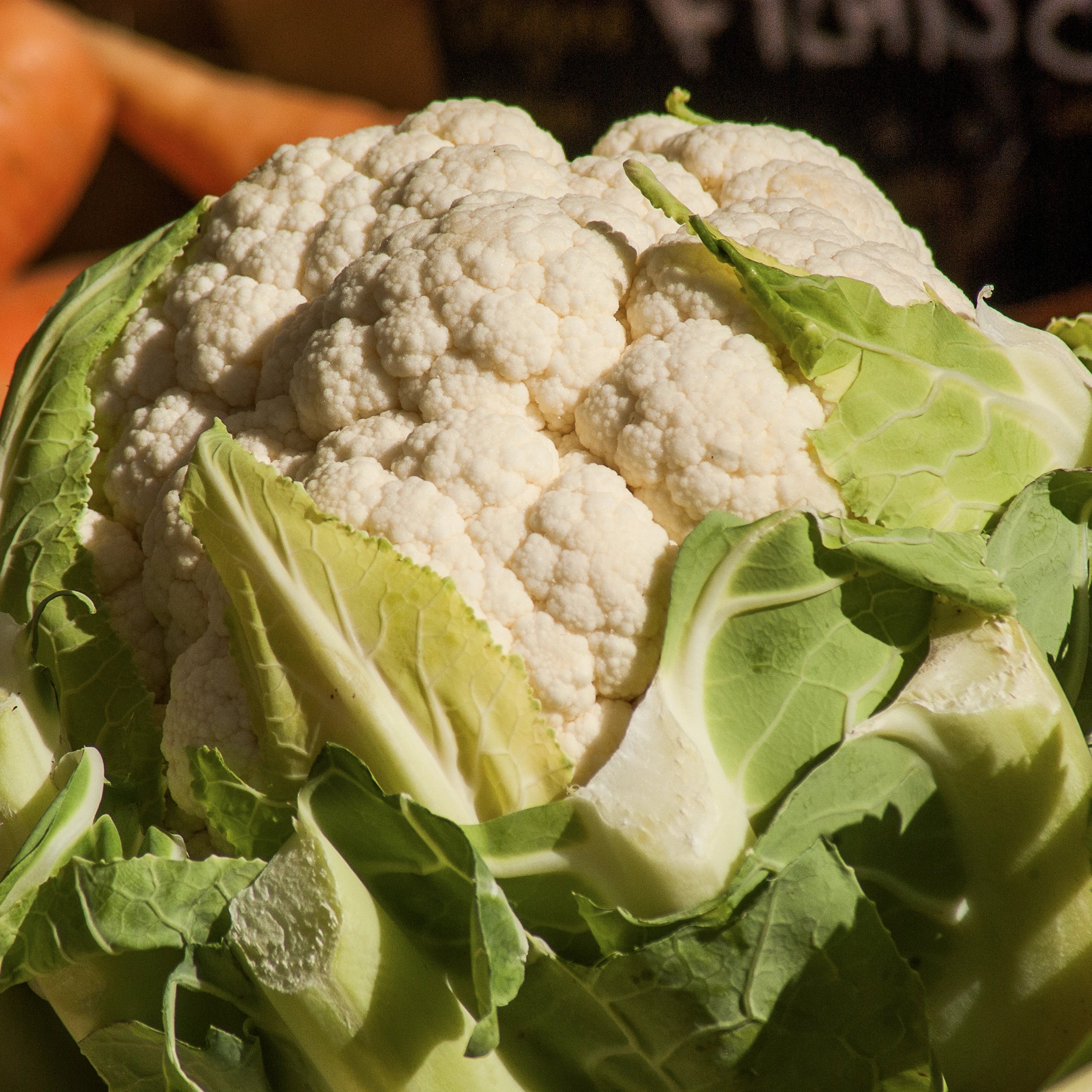 Cavolfiori